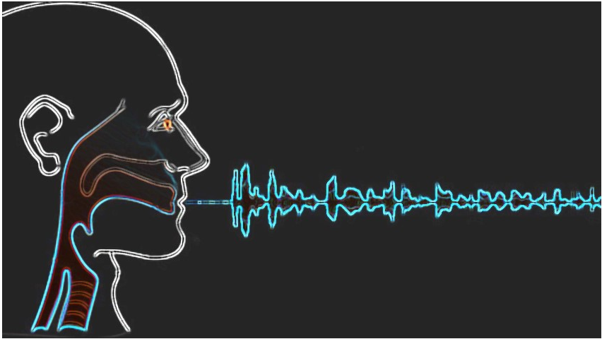 The Voice As Holographic Representation Of Self - Sound Health