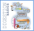 Digestion Basics logo