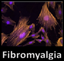 Fibromyalgia logo