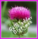 Gallbladder distress logo