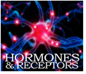 Hormones & Receptors logo