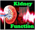 Kidney Function logo