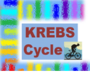Krebs Cycle logo