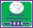 methylation mapping logo
