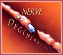 nerve degeneration logo