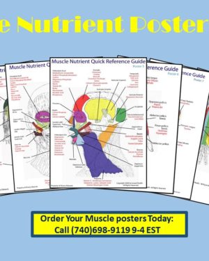 Muscle Nutrient Poster ad