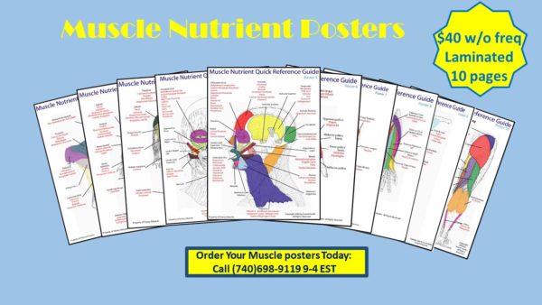 Muscle Nutrient Poster ad