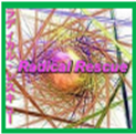 radical rescue software