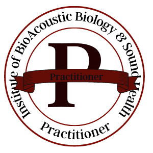 Practitioner Level