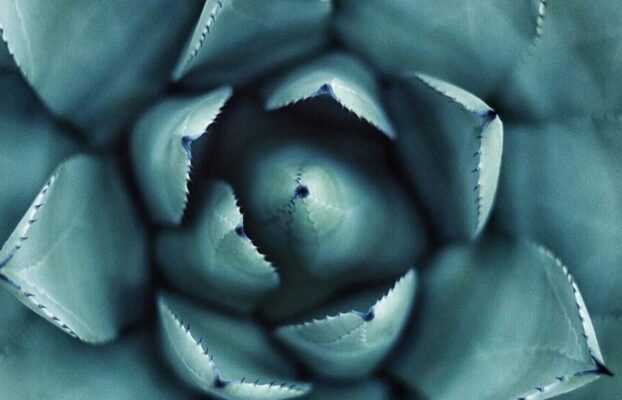 Breaking The Sound Barriers Of Disease