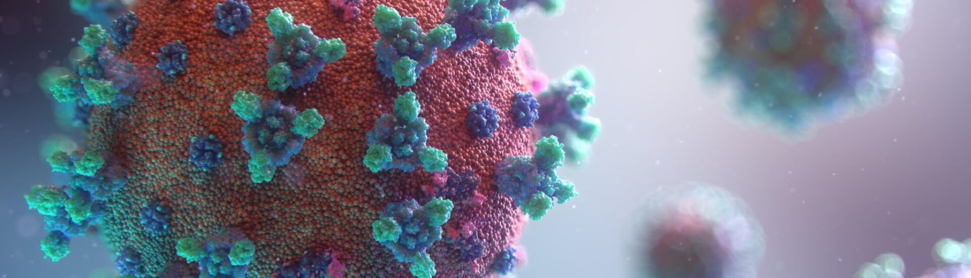 Never Before Released Information About The Corona Virus
